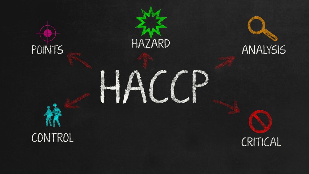 certificazione haccp